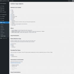 Page screenshot: Settings &rarr; Carbon Copy