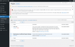 Page screenshot: Plugins ‹ Test site — WordPress