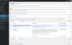 Page screenshot: Plugins ‹ Test site — WordPress
