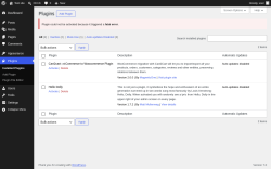 Page screenshot: Plugins &lsaquo; Test site &mdash; WordPress