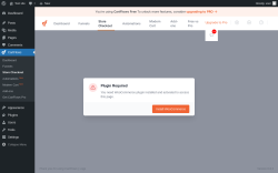 Page screenshot: CartFlows → Store Checkout