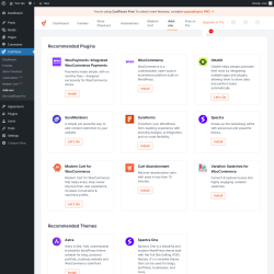 Page screenshot: CartFlows → Add-ons