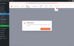 Page screenshot: CartFlows → Store Checkout