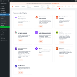 Page screenshot: CartFlows → Add-ons