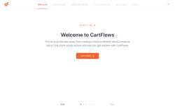 Page screenshot: CartFlows Setup