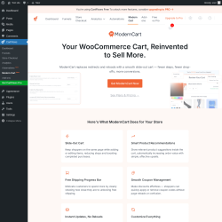 Page screenshot: CartFlows &rarr; Modern CartNew
