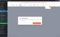 Page screenshot: CartFlows &rarr; Store Checkout
