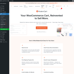 Page screenshot: CartFlows &rarr; Modern CartNew