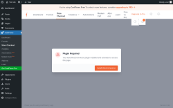 Page screenshot: CartFlows &rarr; Store Checkout