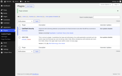 Page screenshot: Plugins &lsaquo; Test site &mdash; WordPress