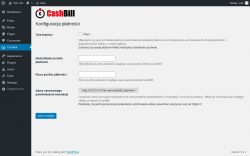 Page screenshot: CashBill