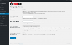 Page screenshot: CashBill