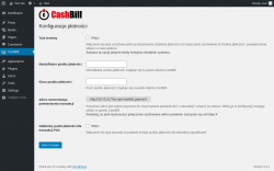 Page screenshot: CashBill
