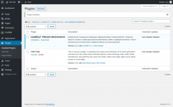 Page screenshot: Plugins &lsaquo; Test site &mdash; WordPress