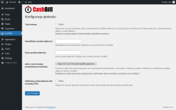 Page screenshot: CashBill