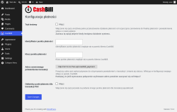 Page screenshot: CashBill