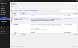 Page screenshot: Plugins &lsaquo; Test site &mdash; WordPress