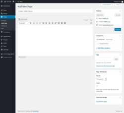 Page screenshot: Add New Page &lsaquo; Test site &mdash; WordPress