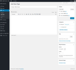 Page screenshot: Add New Page &lsaquo; Test site &mdash; WordPress