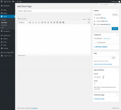 Page screenshot: Add New Page &lsaquo; Test site &mdash; WordPress