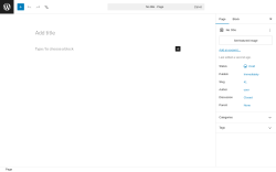 Page screenshot: Add Page &lsaquo; Test site &mdash; WordPress