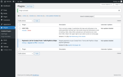Page screenshot: Plugins &lsaquo; Test site &mdash; WordPress