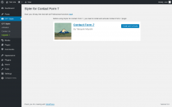 Page screenshot: CF7 Styler