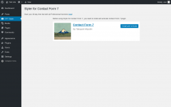 Page screenshot: CF7 Styler