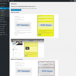 Page screenshot: CF7 Styler