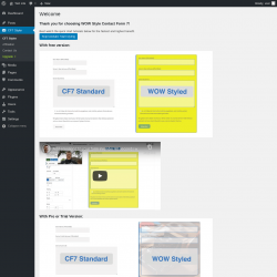 Page screenshot: CF7 Styler