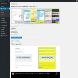 Page screenshot: CF7 Styler