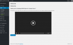 Page screenshot: CF7 Styler