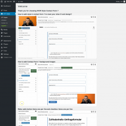 Page screenshot: CF7 Styler