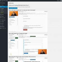 Page screenshot: CF7 Styler