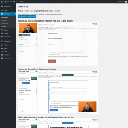Page screenshot: CF7 Styler