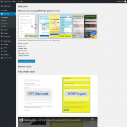 Page screenshot: CF7 Styler