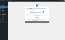 Page screenshot: CF7 Styler