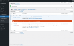 Page screenshot: Plugins ‹ Test site — WordPress
