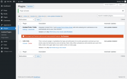 Page screenshot: Plugins ‹ Test site — WordPress