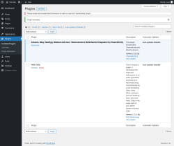 Page screenshot: Plugins &lsaquo; Test site &mdash; WordPress