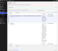 Page screenshot: Plugins &lsaquo; Test site &mdash; WordPress