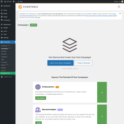 Page screenshot: Charitable → Campaigns  NEW!