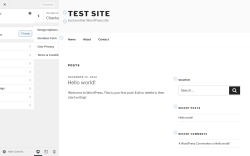 Page screenshot: Charitable → Customize
