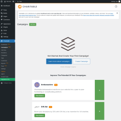 Page screenshot: Charitable → Campaigns  NEW!