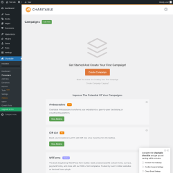 Page screenshot: Charitable → Campaigns