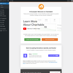 Page screenshot: Welcome to Charitable ‹ Test site — WordPress