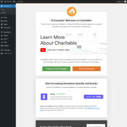 Page screenshot: Welcome to Charitable ‹ Test site — WordPress