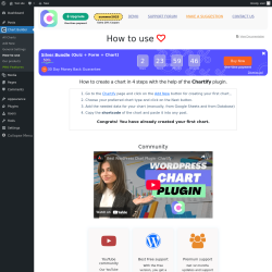 Page screenshot: Chart Builder → How to use