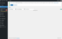 Page screenshot: WhatsApp Chat → Leads 
