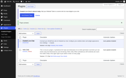 Page screenshot: Plugins &lsaquo; Test site &mdash; WordPress